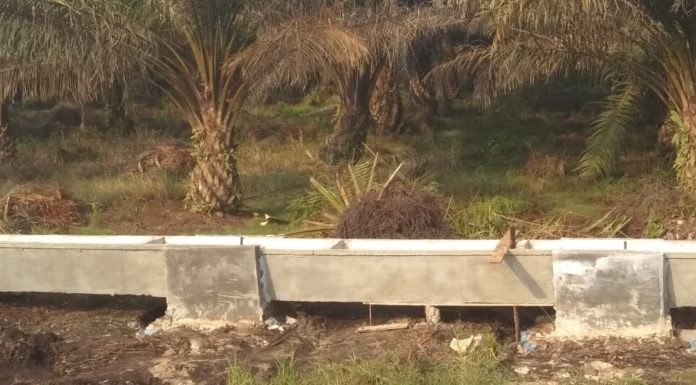 Proyek Irigasi Ferocement Balai Besar Diragukan Kualitasnya