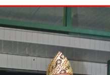 DPW PWDPI Lampung Juluki Bunda Eva si ratu Hibah